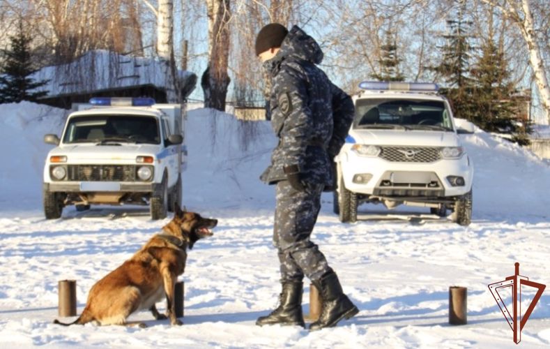 Совместные практические занятия специалистов-кинологов Росгвардии и МВД состоялись в Уральском округе