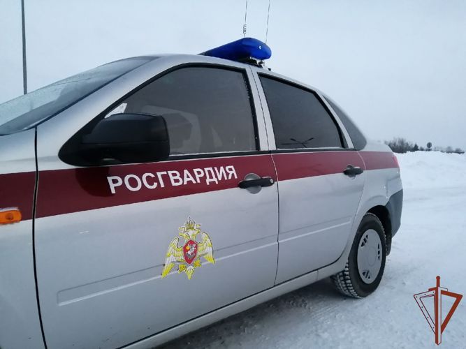 Росгвардейцы пресекли ряд правонарушений в Сибири