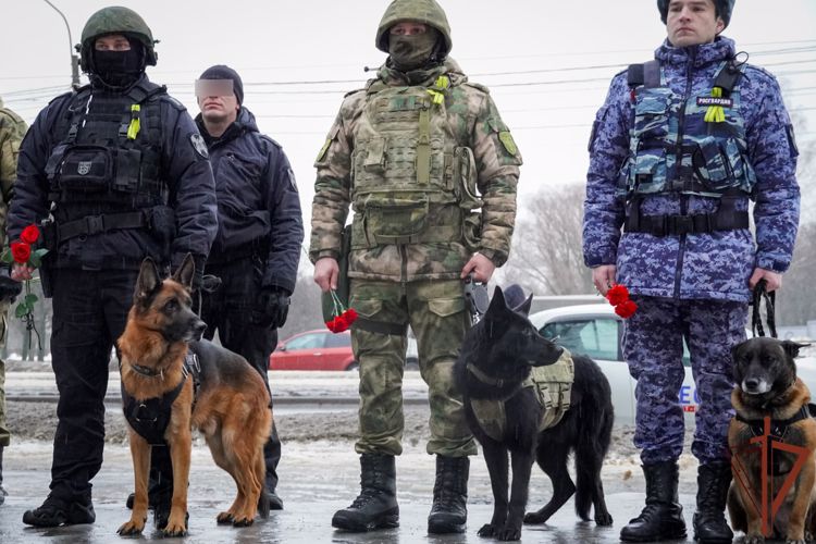 Кинологи Северо-Западного округа Росгвардии почтили память предшественников, оборонявших Ленинград
