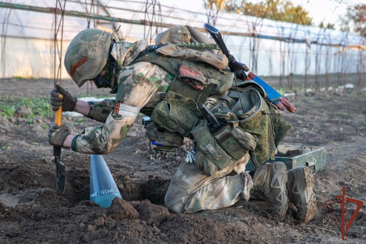 70 групп разминирования Росгвардии ежедневно выходят на боевую службу в зоне СВО