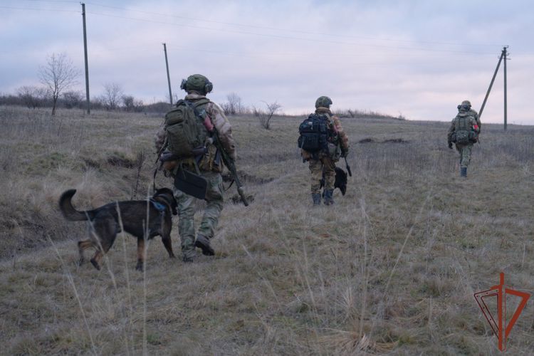 70 групп разминирования Росгвардии ежедневно выходят на боевую службу в зоне СВО