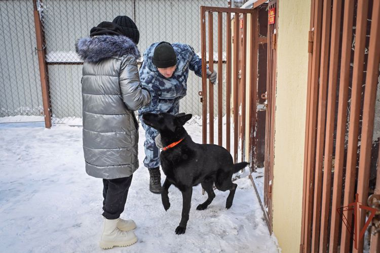 Новогоднее желание девочки из Татарстана исполнилось в ОМОН «Ак Барс» Росгвардии