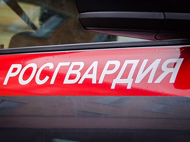 Патруль Росгвардии разыскал пропавшего ребенка в Пскове