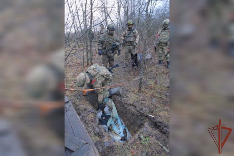 В  ЛНР саперы Росгвардии обнаружили и уничтожили крупные схроны с оружием и боеприпасами (видео)