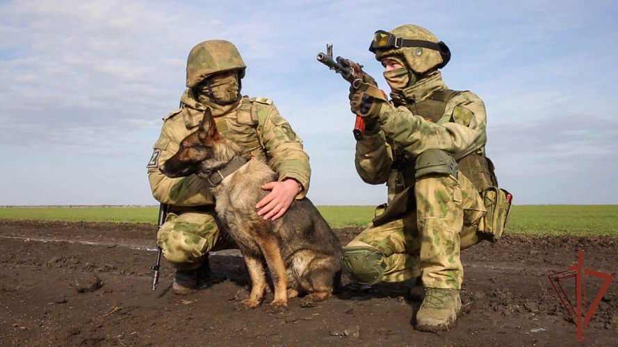 Росгвардейцы за неделю уничтожили более 200 взрывоопасных предметов в Херсонской и Запорожской областях