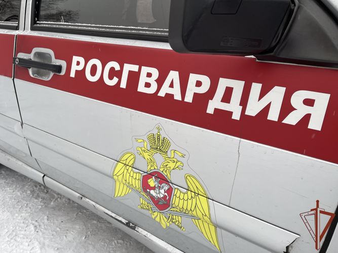 Росгвардейцы в Туве задержали местного жителя, подозреваемого в причинении тяжкого вреда здоровью