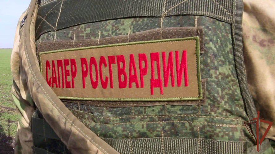 Росгвардейцы за неделю уничтожили более 200 взрывоопасных предметов в Херсонской и Запорожской областях