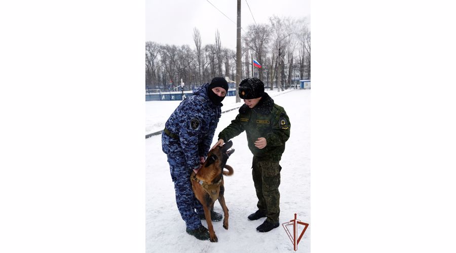 Показательные выступления «Четвероногие герои» провели сотрудники Росгвардии в Воронеже