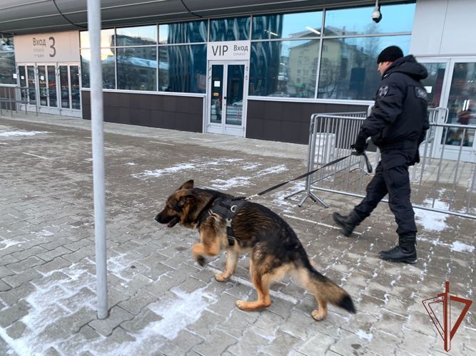 В Екатеринбурге Росгвардия обеспечила охрану порядка на хоккейном матче континентальной лиги