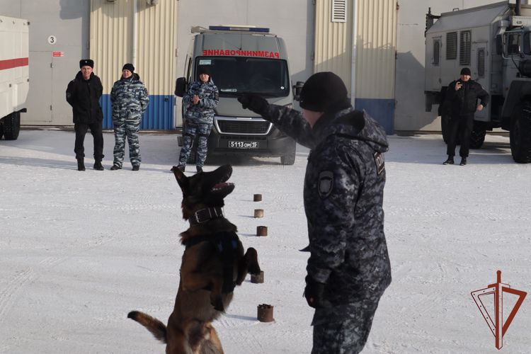 Военнослужащие и сотрудники Росгвардии продолжают заниматься патриотическим воспитанием молодёжи в Сибири