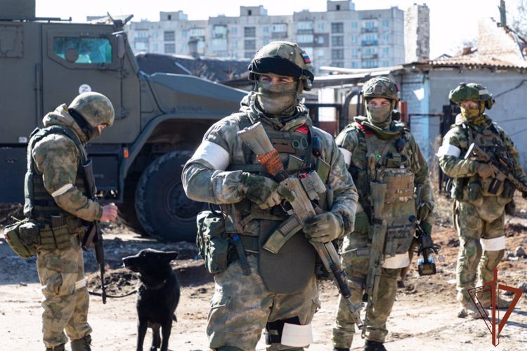 Росгвардейцы разминировали дорогу и ликвидировали схрон с боеприпасами в ДНР (ВИДЕО)
