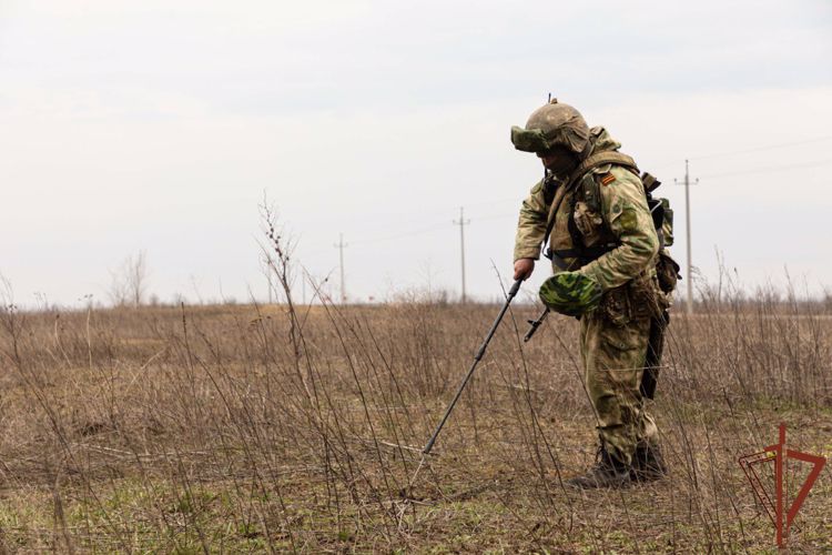 Росгвардейцы разминировали дорогу и ликвидировали схрон с боеприпасами в ДНР (ВИДЕО)
