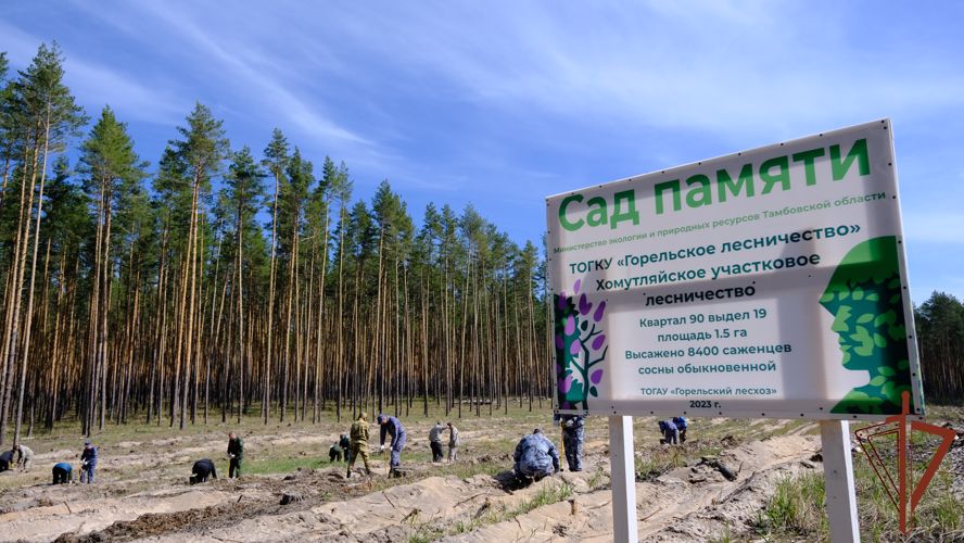 Росгвардейцы Центрального округа присоединились к международной патриотической акции «Сад Памяти»