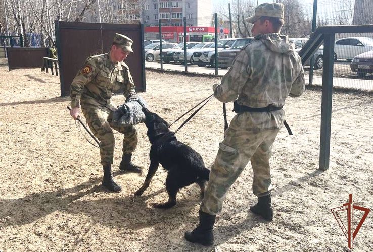 Курсанты Пермского военного института Росгвардии завершили стажировку на Урале