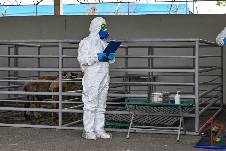 На Ставрополье представители Росгвардии приняли участие в межрегиональных ветеринарно-санитарных учениях
