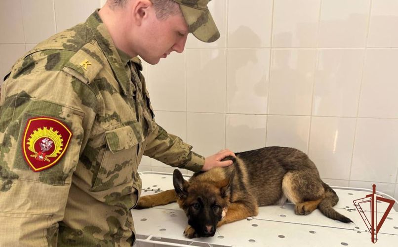 Курсанты Пермского военного института Росгвардии завершили стажировку на Урале