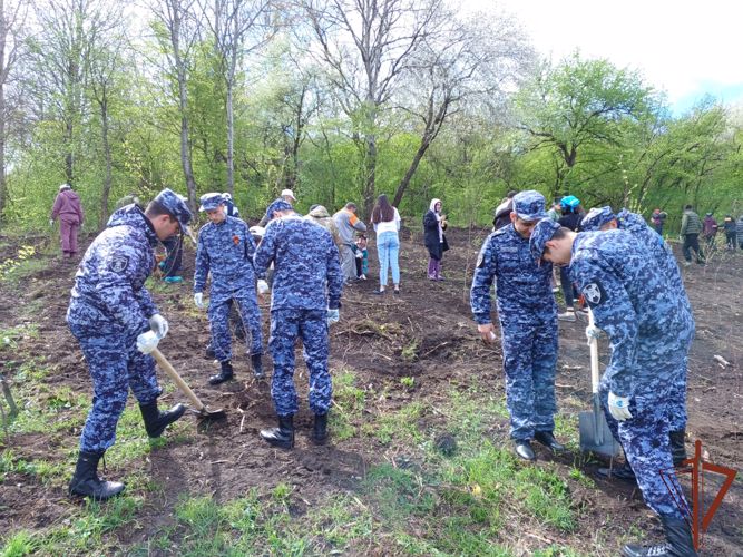 Росгвардейцы Карачаево-Черкесии присоединились к международной патриотической акции «Сад памяти»