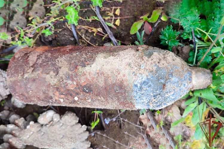 Одиннадцать боеприпасов времен Великой Отечественной войны уничтожили специалисты Росгвардии на Кубани