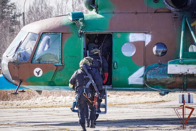 Спецназ Северо-Западного округа Росгвардии отработал беспарашютное десантирование (видео)