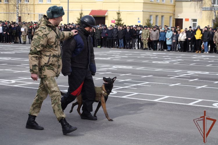 День призывника состоялся в Северском соединении Росгвардии (видео)