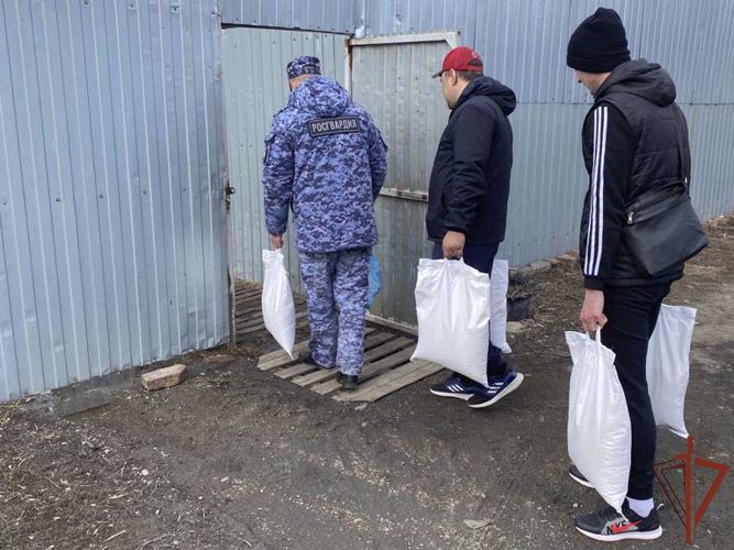 Помощь приюту для бездомных животных в Юрге оказали росгвардейцы 