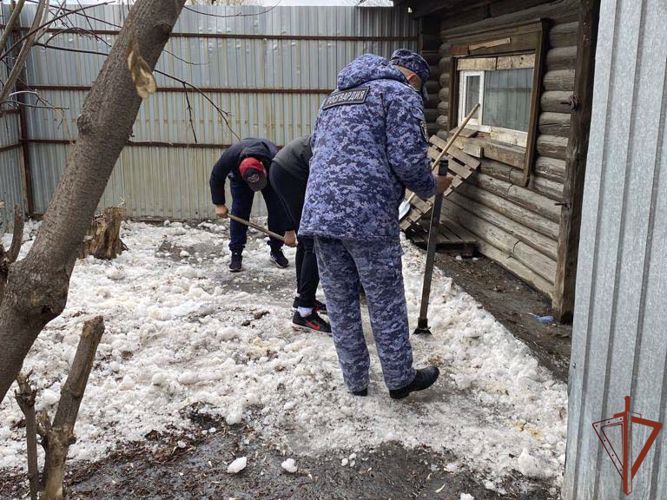 Помощь приюту для бездомных животных в Юрге оказали росгвардейцы 