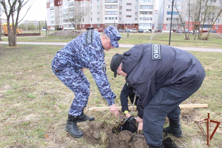 Росгвардейцы присоединились к акции по высадке деревьев в Вологде