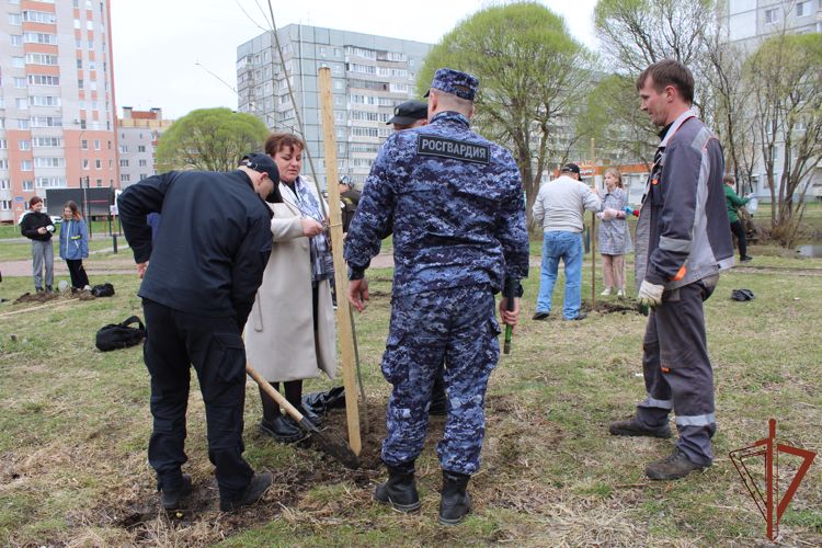 Росгвардейцы присоединились к акции по высадке деревьев в Вологде