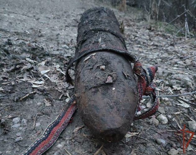 Росгвардейцы обезвредили боеприпас времен Великой Отечественной войны в Тамбовской области