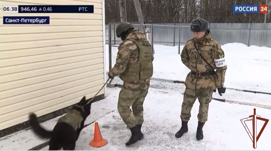 Курсанты-кинологи пермского военного института Росгвардии прошли войсковую стажировку в Ленинградской области