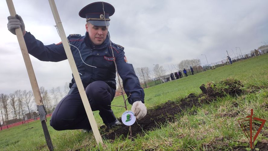 Росгвардейцы Центрального округа присоединились к международной патриотической акции «Сад Памяти»