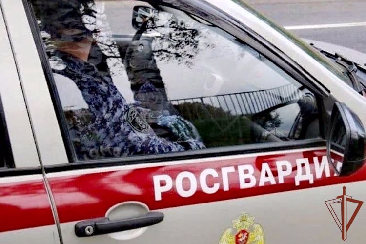 Сотрудники Росгвардии разыскали в Архангельске пропавшую девочку