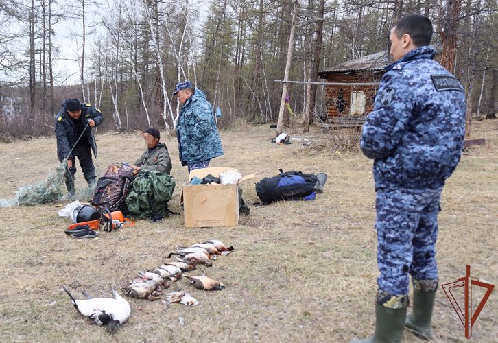 Росгвардия на территории охотугодий Якутии пресекла 8 административных правонарушений