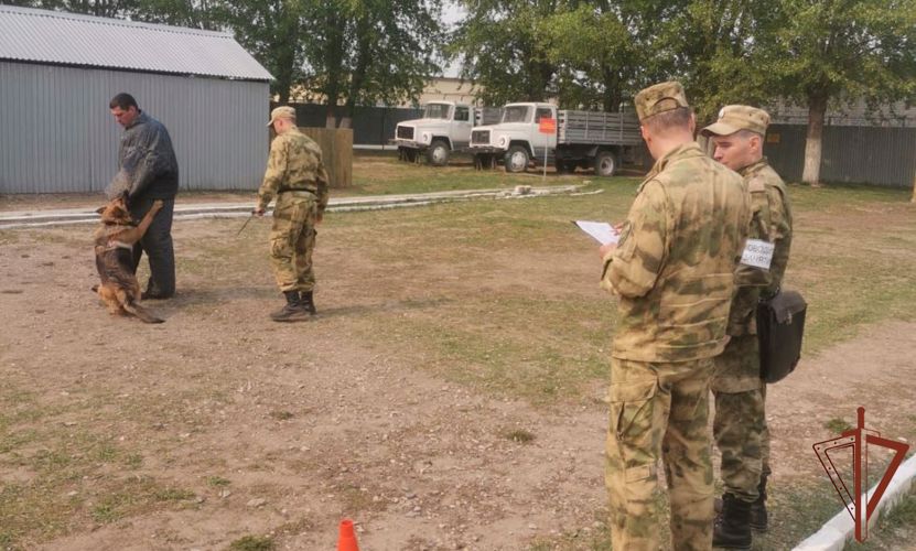 Кинологи Росгвардии завершили курс профессиональной подготовки в Тюмени