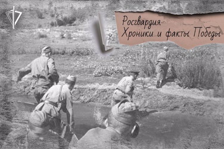 80 лет назад воины-чекисты прорвали  "Голубую линию" в ходе битвы за Кавказ