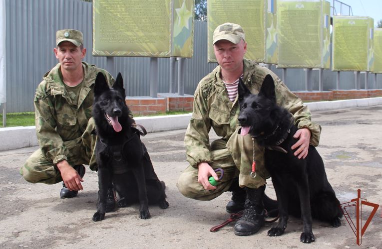 Учебно-методический сбор с начальниками кинологических служб Уральского округа Росгвардии состоялся в Тюмени