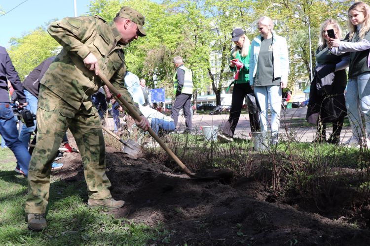 К международной акции «Сад памяти» присоединились росгвардейцы Центрального округа  