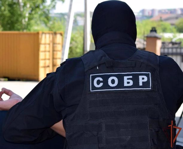 При участии СОБР Росгвардии в Иркутской области перекрыт крупный канал контрабанды леса