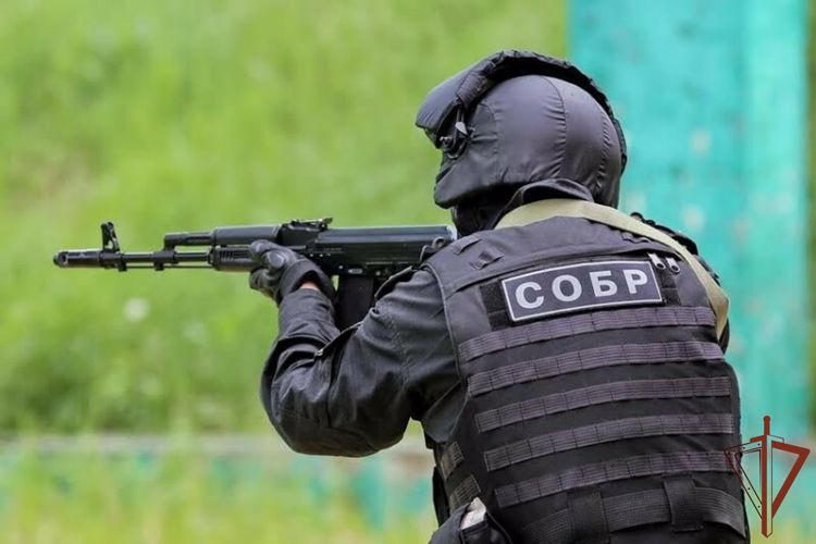 Подозреваемые в организации  канала контрабанды леса задержаны в Иркутской области при содействии СОБР Росгвардии 
