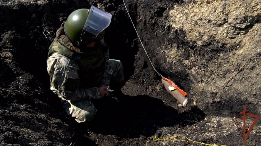 Боеприпас времен Первой мировой войны обезвредили росгвардейцы в Пензенской области (видео)