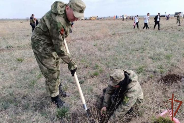 Всероссийскую акцию «Лес Победы» поддержали росгвардейцы в Алтайском крае