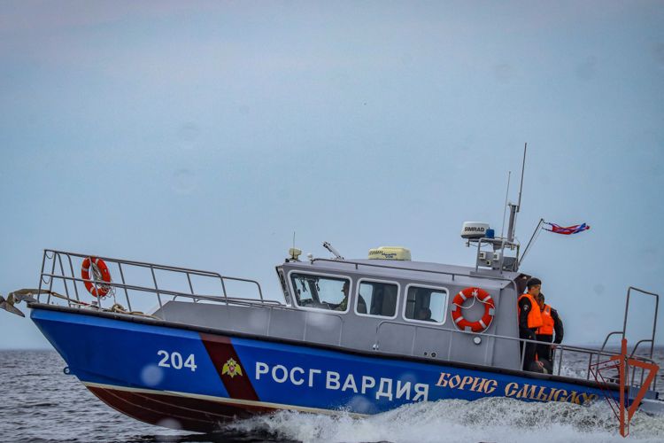 Экипажи катеров Росгвардии провели учебные стрельбы в акватории Финского залива (видео)