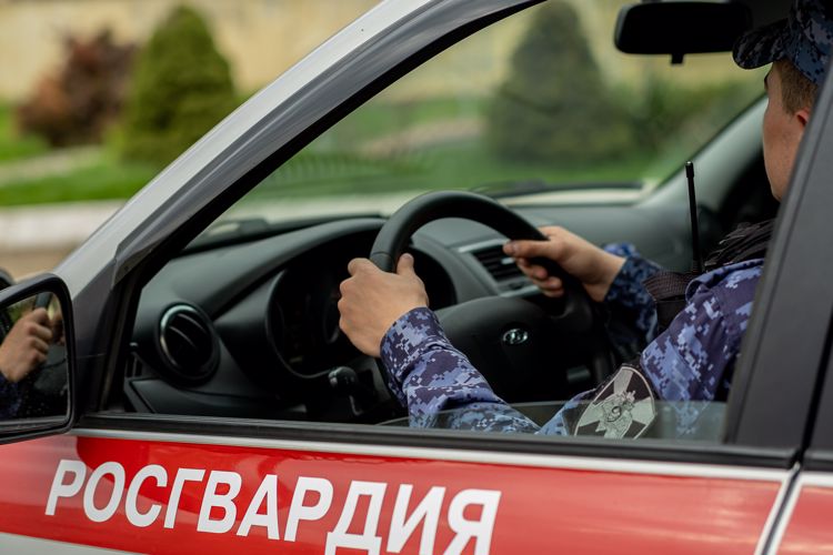 Подозреваемый в совершении тяжкого преступления задержан сотрудниками Росгвардии в Туве
