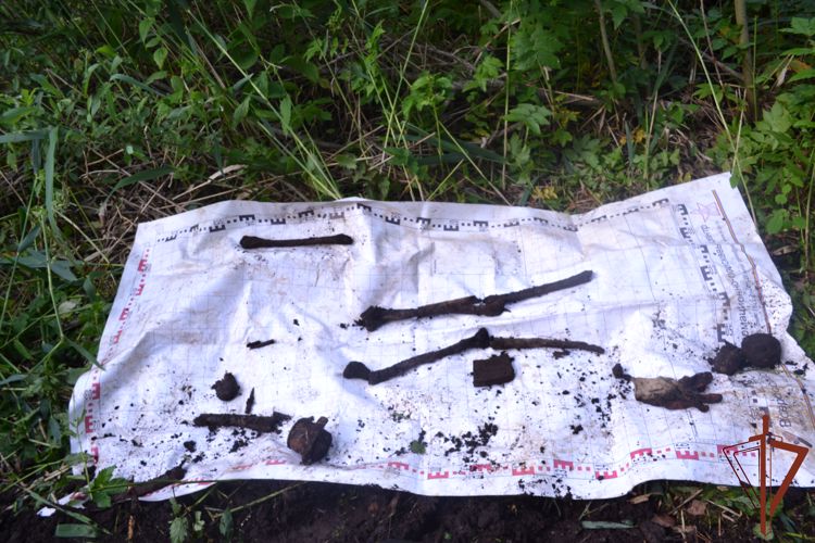В преддверии Дня памяти и скорби росгвардейцы рассказали о поисковых отрядах