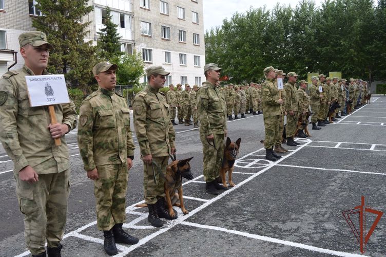 Чемпионат Уральского округа Росгвардии по многоборью кинологов завершился в Тюмени 