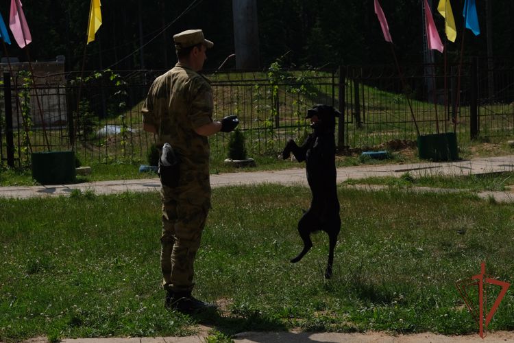 Акция «Каникулы с Росгвардией» проходят в городах Центрального округа