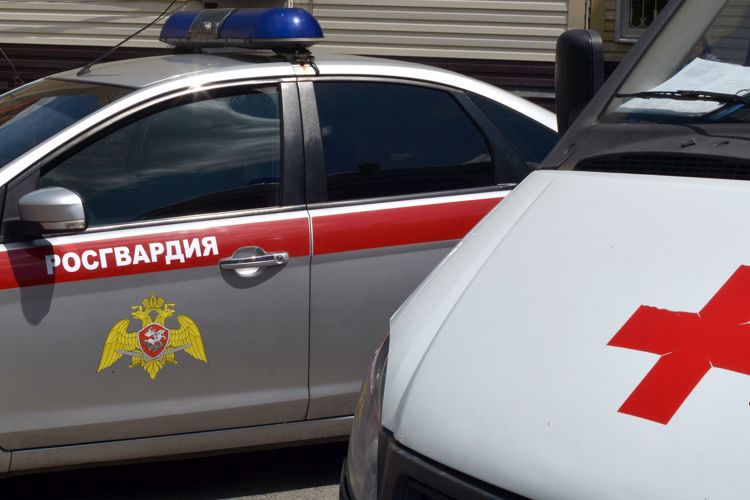 Сотрудники Росгвардии задержали подозреваемого в нападении на медиков скорой помощи в Мордовии (видео)