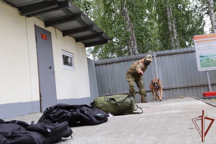 В Уральском округе Росгвардии состоялись мероприятия, посвященные Дню кинолога (видео)