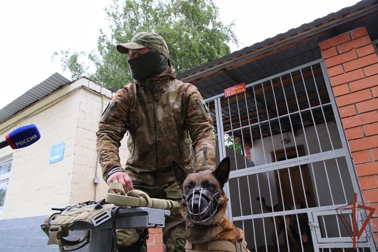 В Уральском округе Росгвардии состоялись мероприятия, посвященные Дню кинолога (видео)