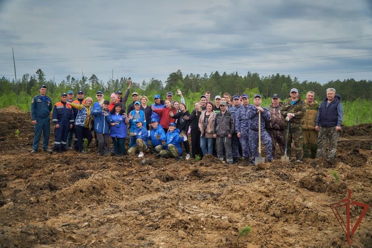 В рамках акции «Сад памяти» в Красноярском крае росгвардейцы высадили деревья 